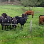 公寓 De L'ancien Moulin *