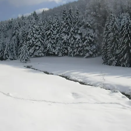 De L'ancien Moulin *