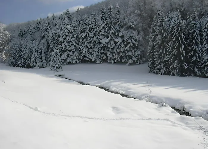 De L'ancien Moulin *