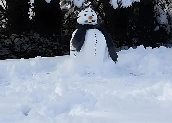 Apartment De L'ancien Moulin