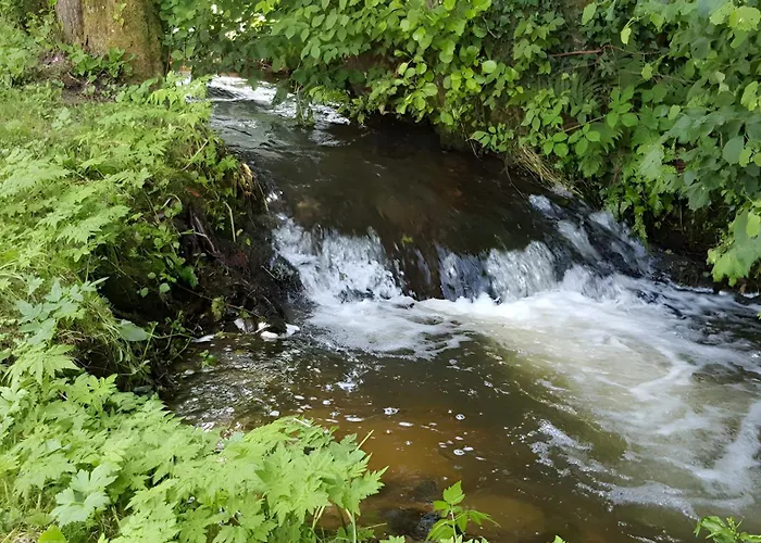 Apartment De L'ancien Moulin
