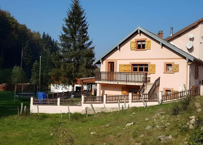 De L'ancien Moulin Apartment Vienville