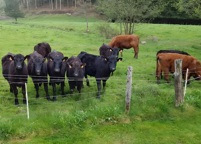 Apartment De L'ancien Moulin *